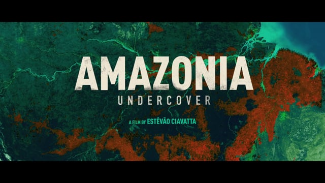 Amazônia Sociedade Anônima