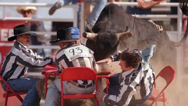 RAZOR WIRE RODEO - a documentary by Nicolas Pallay & Jean-Cosme Delaloye