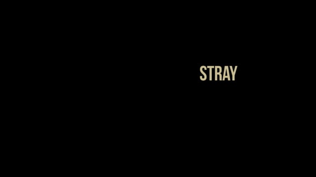 STRAY // Trailer (30 sec)