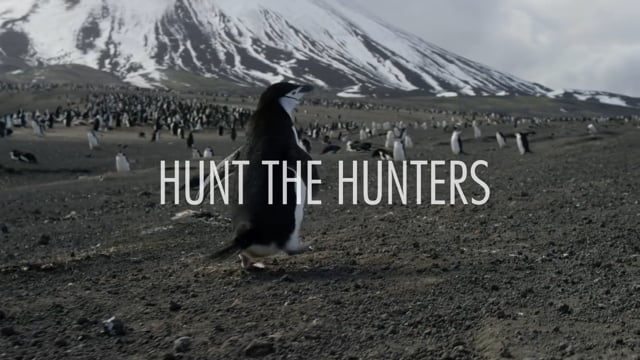 ⁣Hunt the Hunters