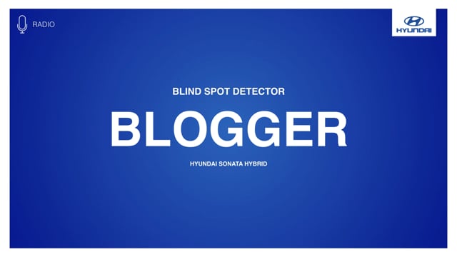 ⁣Blind Spot Detector  - Blogger