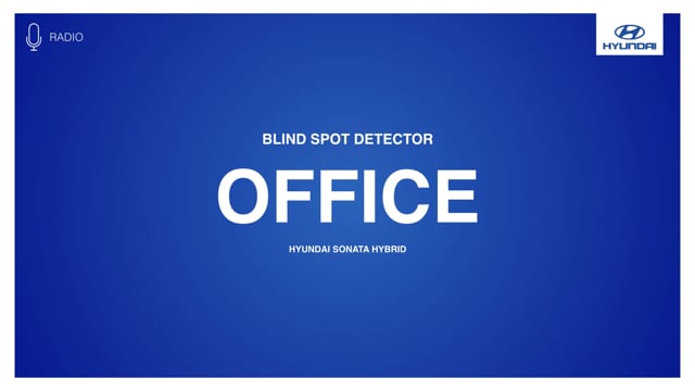 Blind Spot Detector  - Office