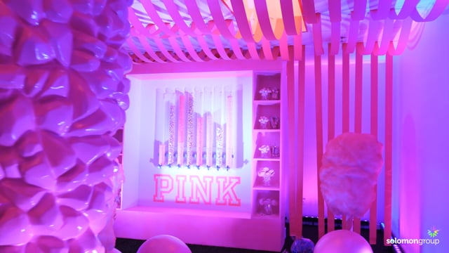 PINK Nation University | FlyteVu