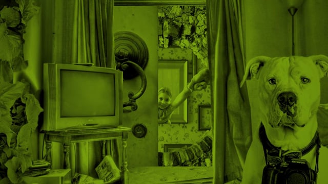 INSIDE TV  Bumper1