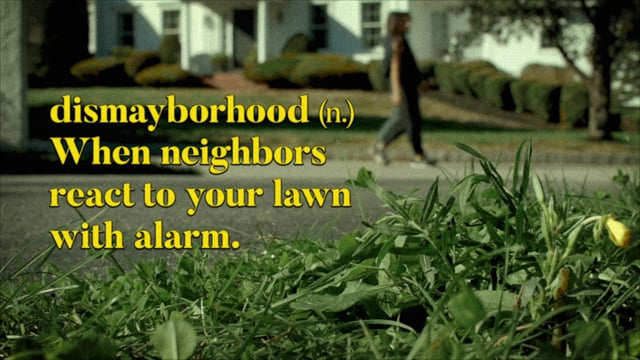 Suburban Dictionary: Dismayborhood