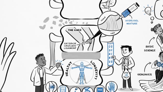 Vimeo video thumbnail