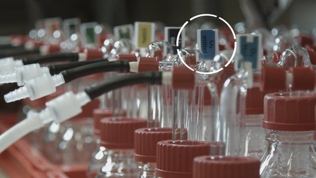 Measurement creates knowledge