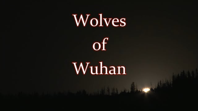 Wolves of Wuhan Trailer