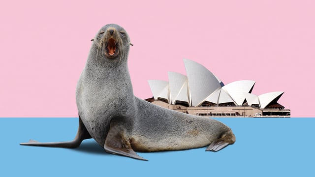 ⁣The Sydney Opera House Seal