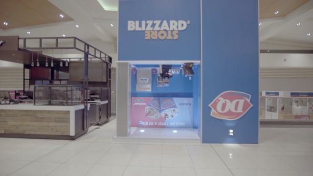 Blizzard Store