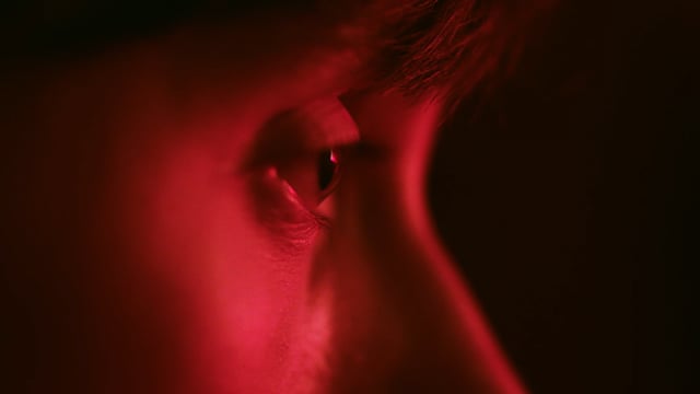 David - Official trailer