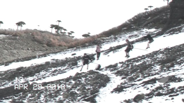 Emily Nicholson video