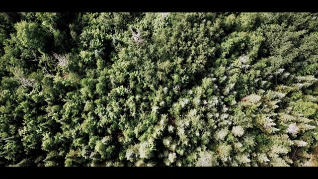 Gunflint Lodge — 1