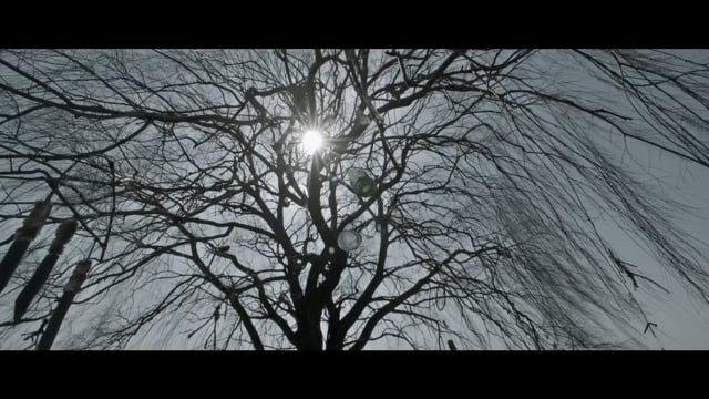 THE TOKOLOSHE TEASER 01 TREE