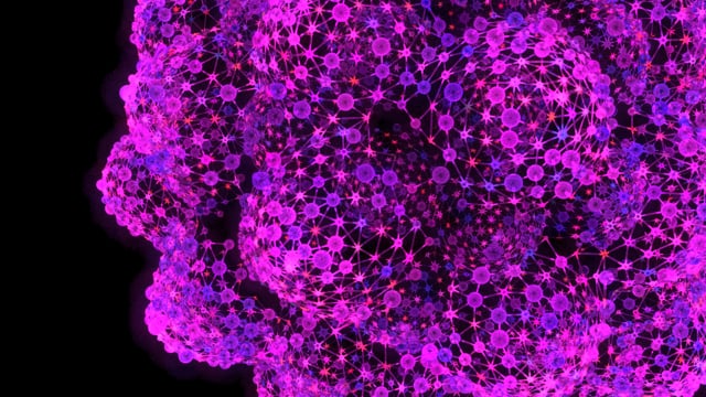 Additional phyllotaxis example