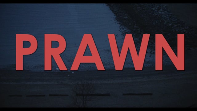 Trailer for "Prawn"