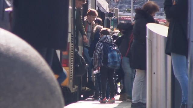Das kommt in den Bus – E-Scooter, Rollstuhl, Rollator