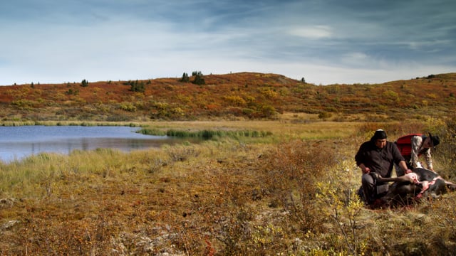 KONELĪNE: our land beautiful