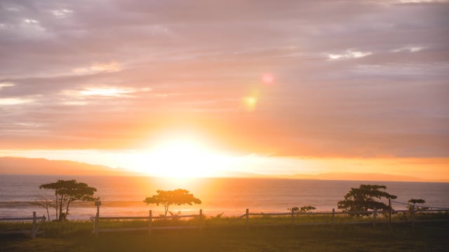 A first-time surfer catches her best waves in Costa Rica