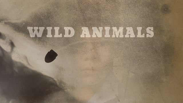 Wild Animals