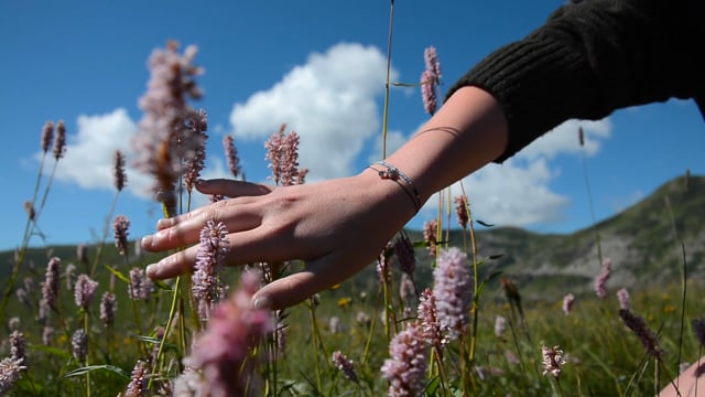 Drone video&foto service