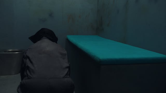 Video 8