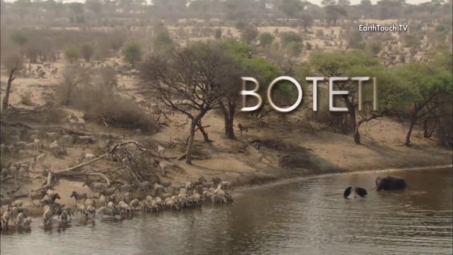 Boteti: The Returning River