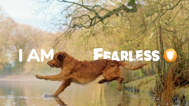Vimeo video thumbnail
