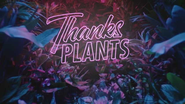 Thanks Plants