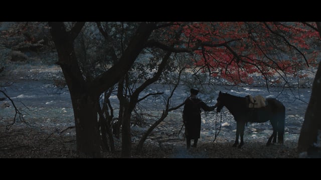 Sajti Zouli voh teaser
