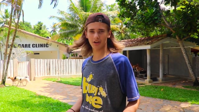 Volunteer with Dog Care in Sri Lanka