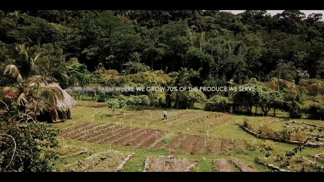 Copal Tree Lodge Belize video 1