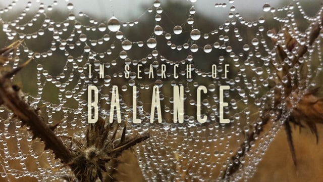 In Search of Balance-Official Trailer