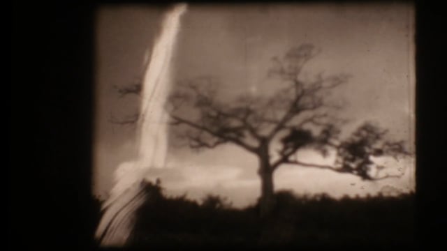 CEIBA - super8