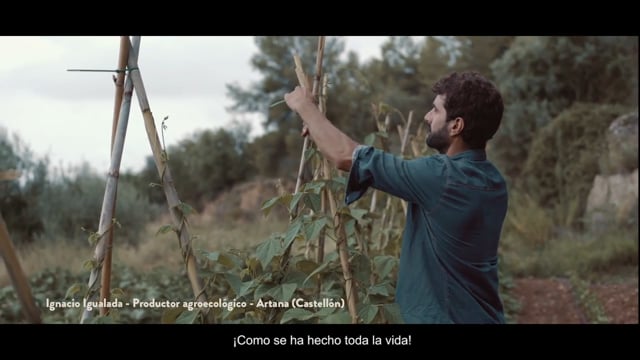 Cervezas La Virgen tomate