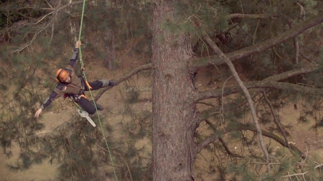 Stihl | The Arborist