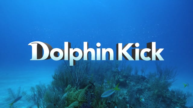 Dolphin Kick Trailer