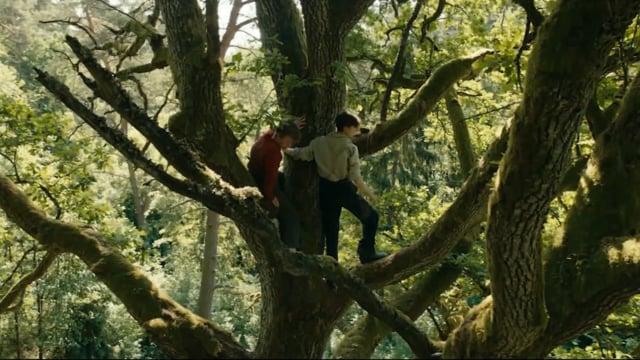 Ut og Stjæle Hester – Filmtrailer