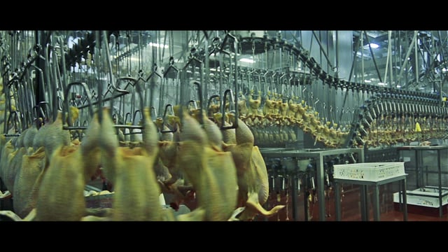 The End of Meat