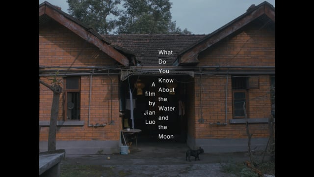 teaser - WDYK