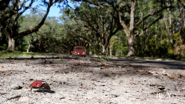 Fall 17 — The Mill — Fowler