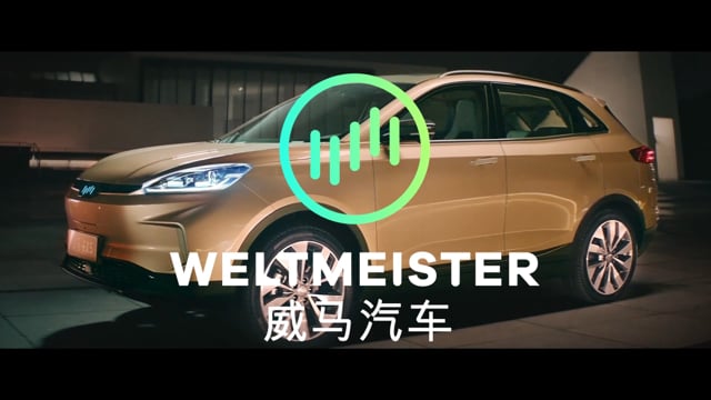Weltmeister - EV Car Sounds