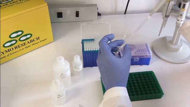 DNA Clean & Concentrator-25