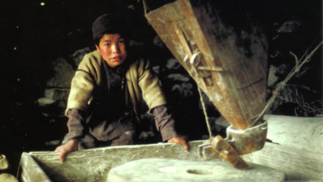 Himalayan Herders