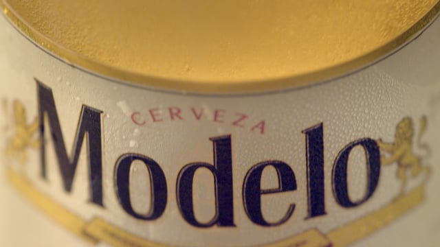 Modelo — We're Excited Too
