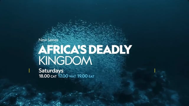 Africa's Deadly Kingdom on Nat Geo WILD