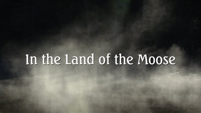 In the Land of the Moose - A film by Harold Arsenault - Official Trailer
