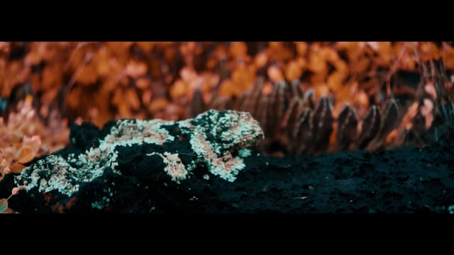 KALEWA Final Trailer