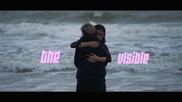 The Visible