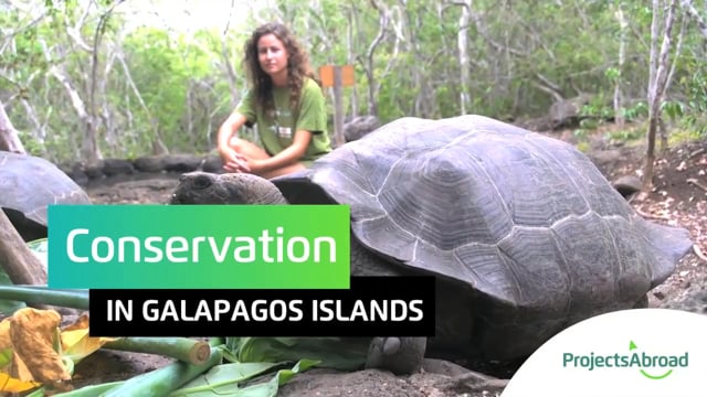 Conservation Volunteering in the Galapagos with Projects Abroad